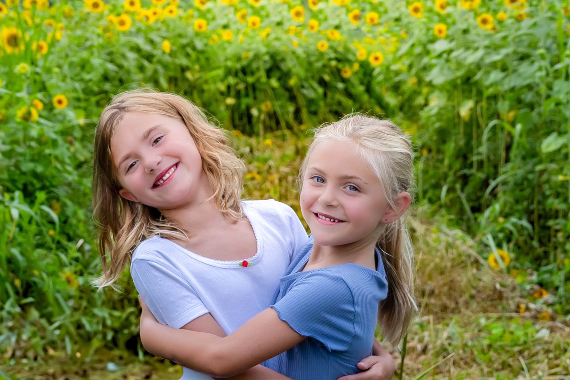 sisters in a sunflower field. family photographer