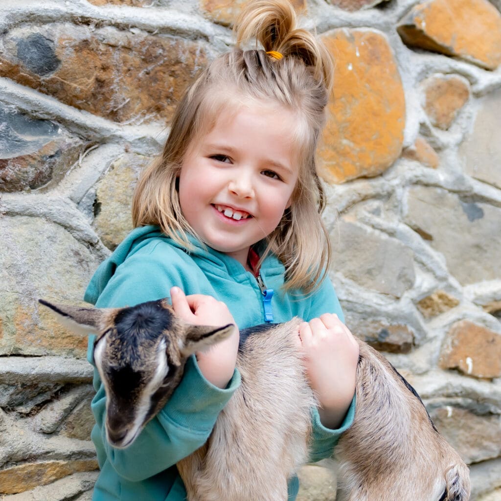 Preschool-aged girl with a ponytail and teal hoodie joyfully holding a tiny brown and white goat against a stone wall – captured by Capture Joy Photography, Northern Virginia family photographer.