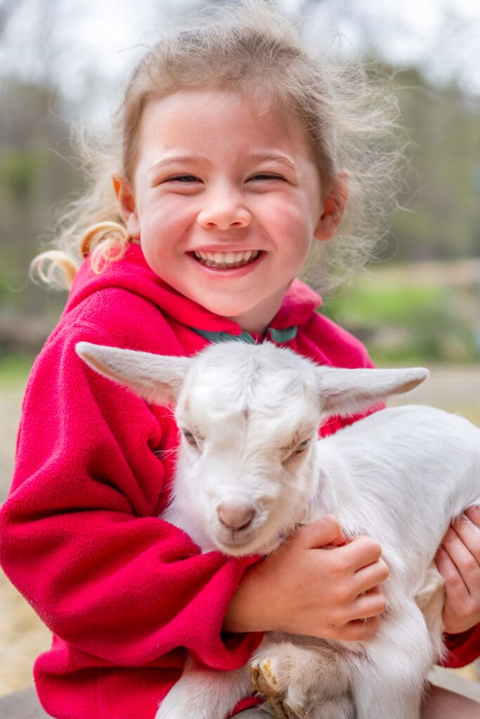 Smiling young girl in a red fleece jacket holding a cuddly newborn white goat at George Mills Farm goat cuddle session – captured by Capture Joy Photography, Northern Virginia family photographer.