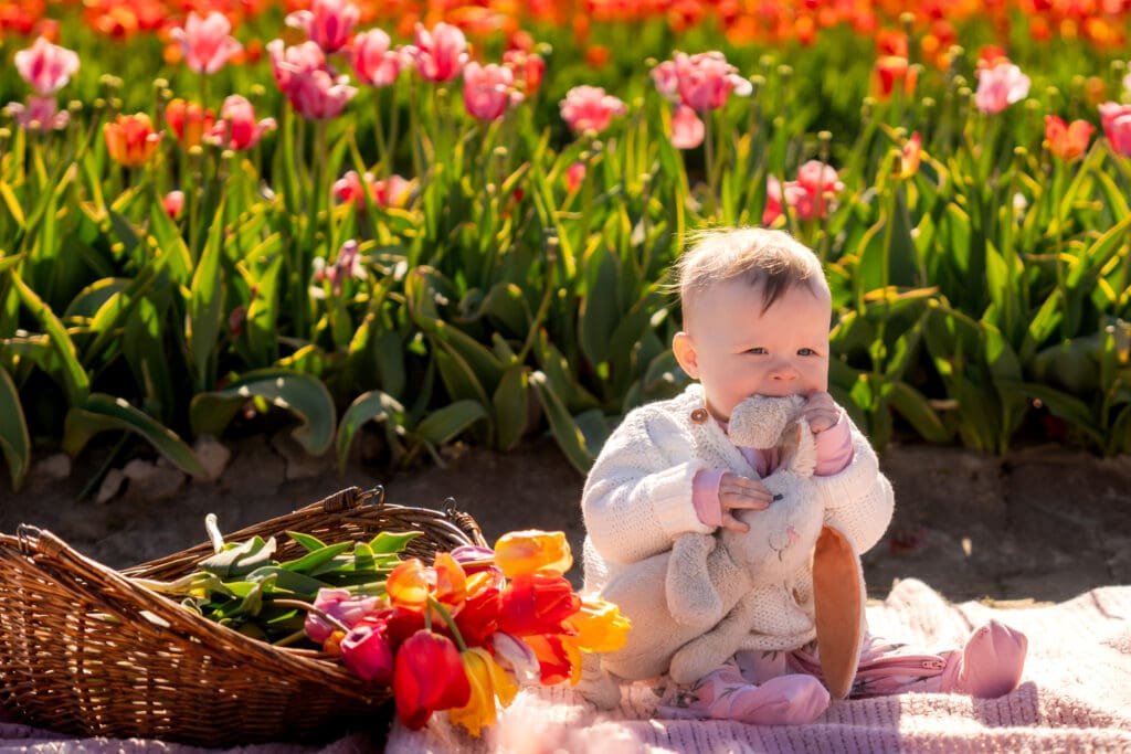 Baby girl sitting alone on a blanket next to a basket of tulips, tasting a tulip petal – captured by Capture Joy Photography, Northern Virginia family photographer.