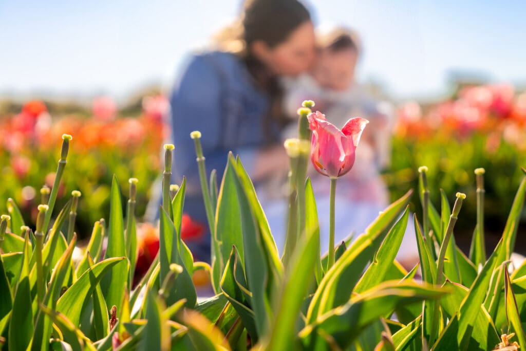 Candid moment of mother and baby blurred behind tulips in the foreground, highlighting spring textures and colors – captured by Capture Joy Photography, Northern Virginia family photographer.